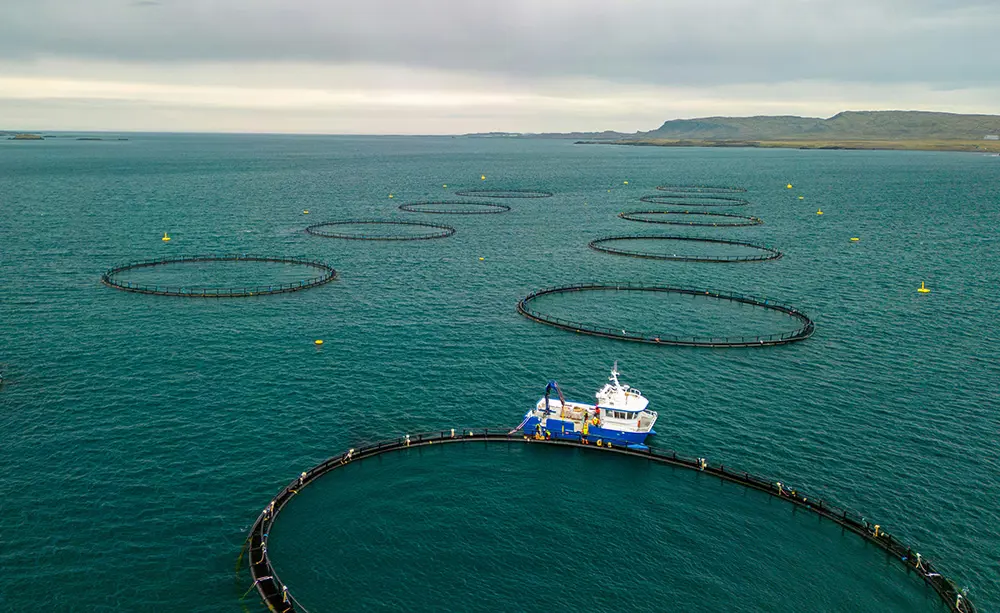 Fishfarm Lowres